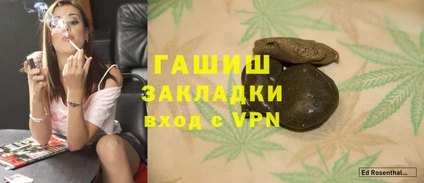 индика Бугульма