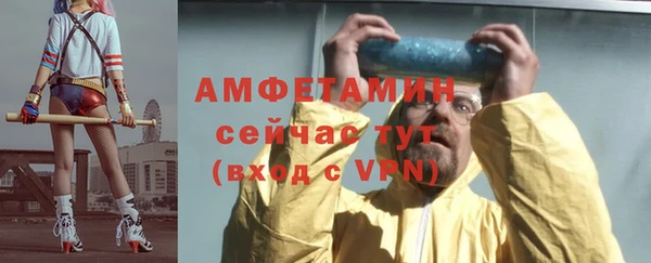 индика Бугульма