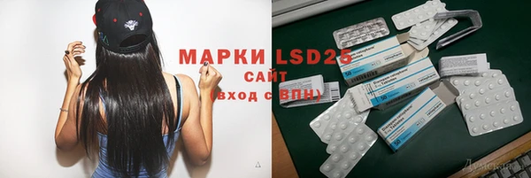 индика Бугульма