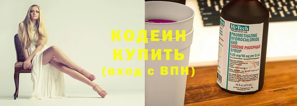 индика Бугульма