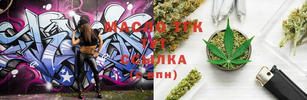 индика Бугульма