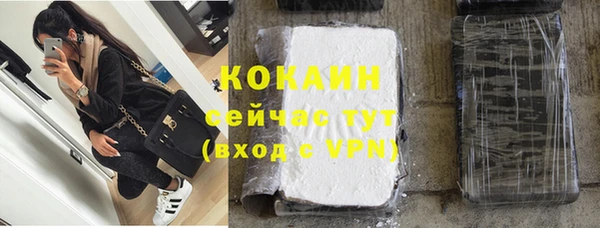 индика Бугульма