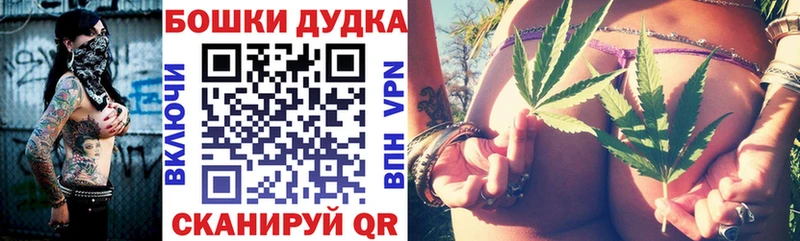 продажа наркотиков  Ярцево  Бошки Шишки план 